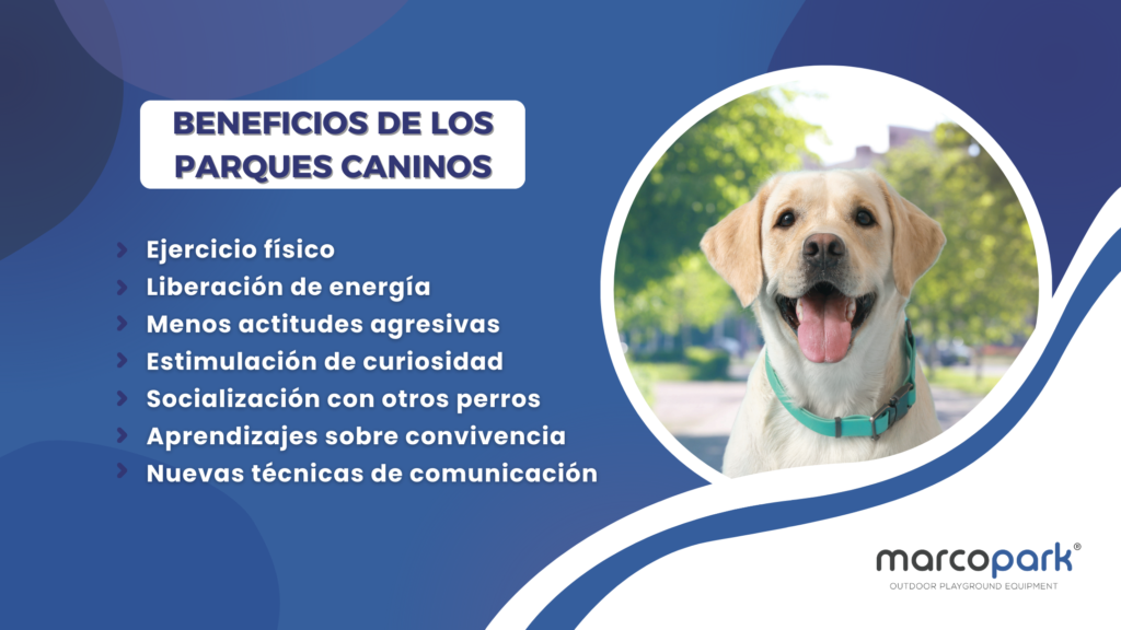 7 beneficios de los parques caninos